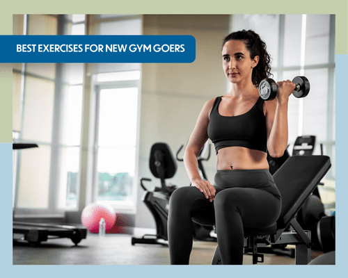 Best exercises for gym beginners