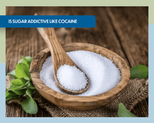 Comparison of sugar and cocaine addiction